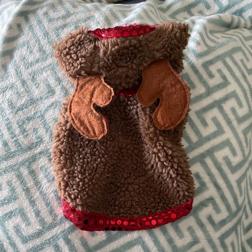 Reindeer dog costume